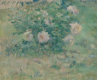 Berthe Morisot, Pioenrozen, ca. 1885-1887, Museum Boijmans Van Beuningen, Rotterdam, aankoop met steun van gelden uit de nalatenschap van mevr. N.C. van Riemsdijk-Borsje, VriendenLoterij en mede mogelijk gemaakt door een particuliere schenker ter nagedachtenis aan Ger Luijten, 2023      