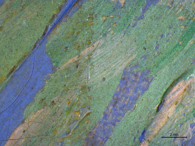 Detail of Olive Grove under the microscope. On the left half the varnish is still present, on the right half it has been removed