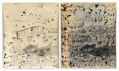 Jeff Cowen, P29, Diptych, 2020-2023, gelatin silver prints, © Jeff Cowen