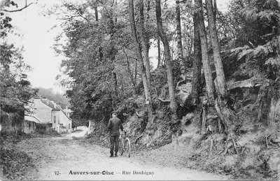 Postcard which shows the tree roots that Vincent used as inspiration for his famous last painting.