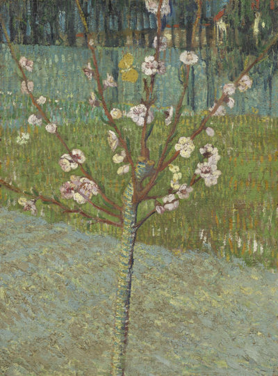 Peach Tree in Blossom after restoration