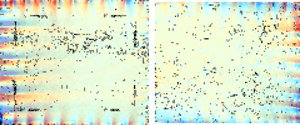 Image from the Automated Thread Count Analysis research