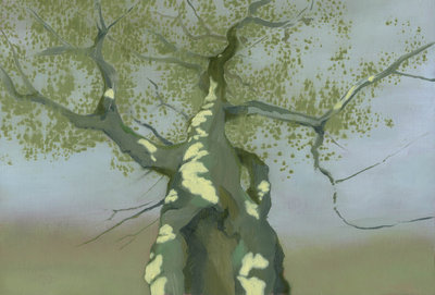 Christiaan Kuitwaard, The Amerong Forest, the hollow beech, 2021, oil on panel, 20 x 29 cm, private collection