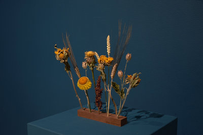 De flowergram Sunflower edition van bloomon met gedroogde zonnebloemen, tarwegras en korenbloemen tegen een donkerblauwe achtergrond