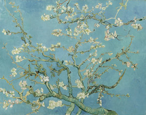 Amandelbloesem, Vincent van Gogh, 1890, Van Gogh Museum, Amsterdam (Vincent van Gogh Stichting)