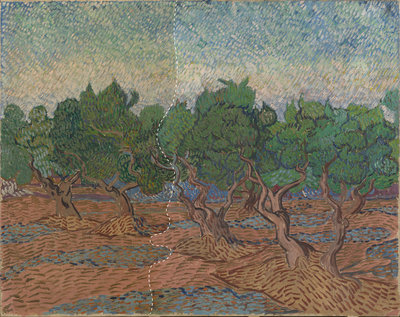 The painting Olive Grove by Vincent van Gogh during the varnish removal: the varnish has been removed from the right-hand side of the picture, in the air, the trees and the foreground (to the right of the dashed white line).