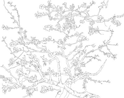 Colouring Page Almond Blossom